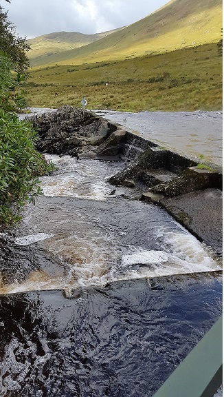 ResearchIFI's tweet photo. Join @ResearchIFI - permanent post conducting salmonid scientific research programmes and initiatives, be based in the National Salmonid Index Catchment (NSIC) River Erriff https://t.co/gPQ0CmdwtY https://t.co/V2KbXZnPiL