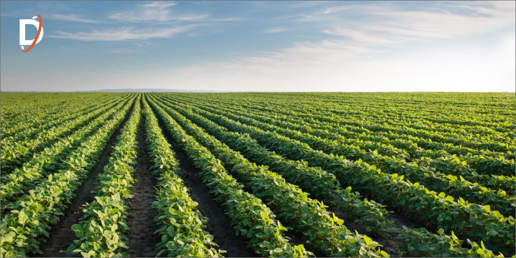 DynaQuip's tweet photo. In our new blog you’ll discover the many uses of plants beyond supplying food and how #DynaQuip supplies the resources to help make these diverse plant applications a growth experience. https://t.co/rGzNkAeuhV
#valvesolutions #valvemanufacturer #fluidcontrols #weworkwhereyouwork https://t.co/KWi98nHQ4Y