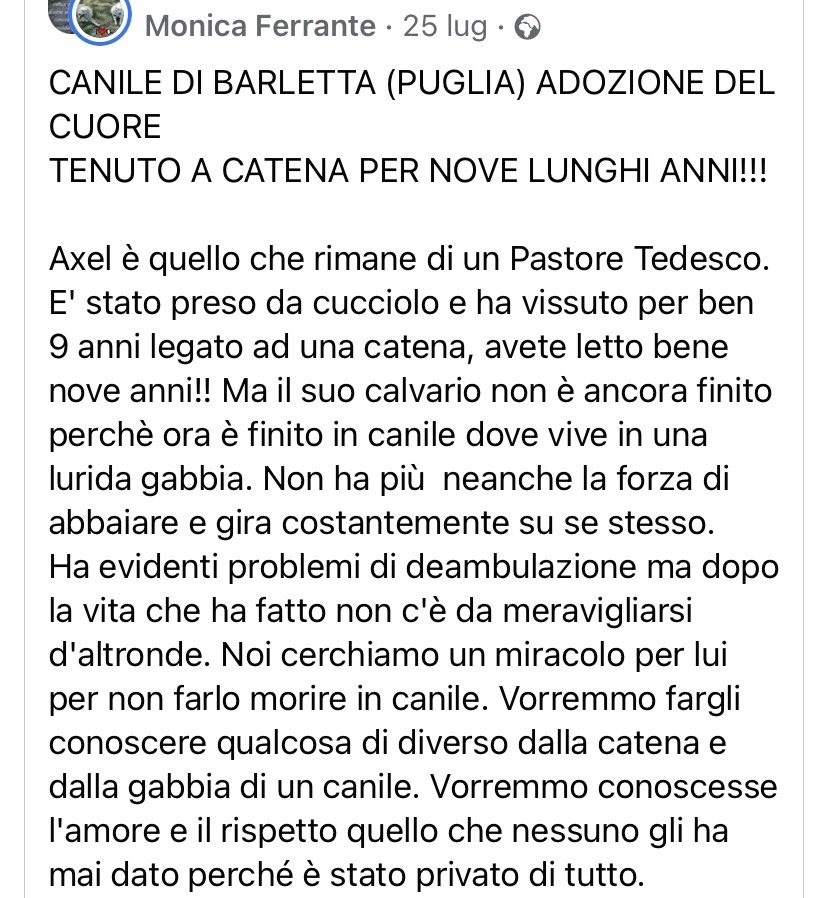 pattyfra1's tweet photo. Quel che resta di uno splendido pastore tedesco! 💔 La gente non si merita i pastori: sono cani eccezionali e sono indimenticabili! AXEL, 9 anni a catena😡e ora in canile 🤢CERCHIAMOGLI CASA! 📍INFO nel tweet ⤵️📍#15 settembre 🙏🙏🙏🆘🆘🆘🔁🔁🔁🏡🧡🍀😔🙏🙏 https://t.co/aFD6Or3OpK