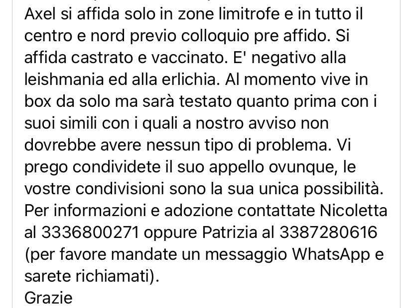 pattyfra1's tweet photo. Quel che resta di uno splendido pastore tedesco! 💔 La gente non si merita i pastori: sono cani eccezionali e sono indimenticabili! AXEL, 9 anni a catena😡e ora in canile 🤢CERCHIAMOGLI CASA! 📍INFO nel tweet ⤵️📍#15 settembre 🙏🙏🙏🆘🆘🆘🔁🔁🔁🏡🧡🍀😔🙏🙏 https://t.co/aFD6Or3OpK
