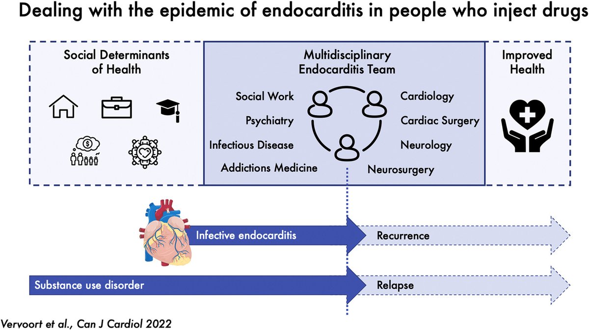 Substance use disorder and related infective endocarditis are on the rise. How can we deal with the epidemic of endocarditis among injection drug users? #CJC 👉 onlinecjc.ca/article/S0828-… @DVervoort94 @KevinAnMD @Melbatarny @derrickytam @BobbyYanagawa @UofTCVsurgery @UofTCardio