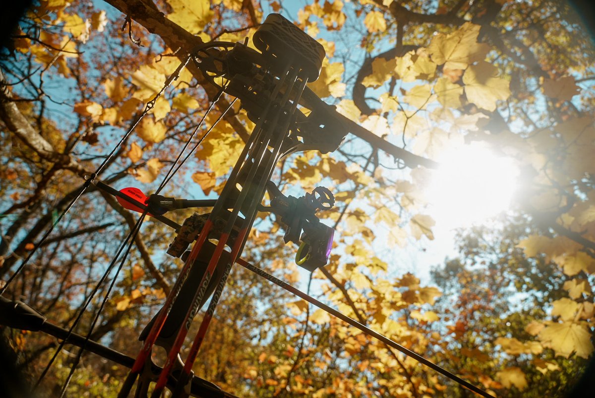 TrophyPA's tweet photo. 🦌 Archery season is now open in Missouri! Good luck to all of the hunters out there! Interested in purchasing your own hunting property in Missouri? See the link below for our Missouri listings.

https://t.co/wiA3Nj4Tlh https://t.co/1vHniYfR7h