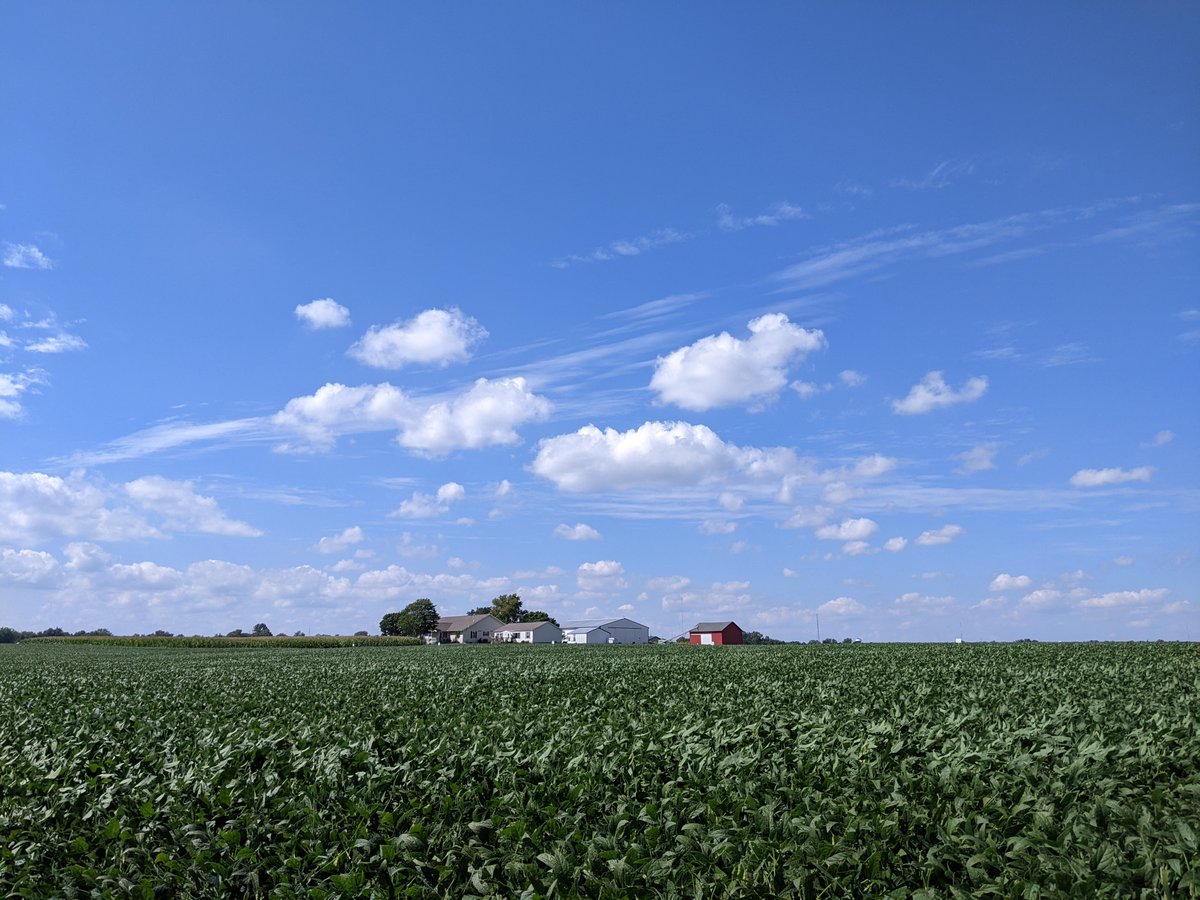 NewLeaf_Sym's tweet photo. Looking forward to seeing yield results in @bzimmrmn's trials with #Terrasym + DUST stacked with other biologicals in the @NewFields_Ag portfolio. More lateral branching and pods. #plantwithdust @LowMu_Tech https://t.co/QBauJB0rKX