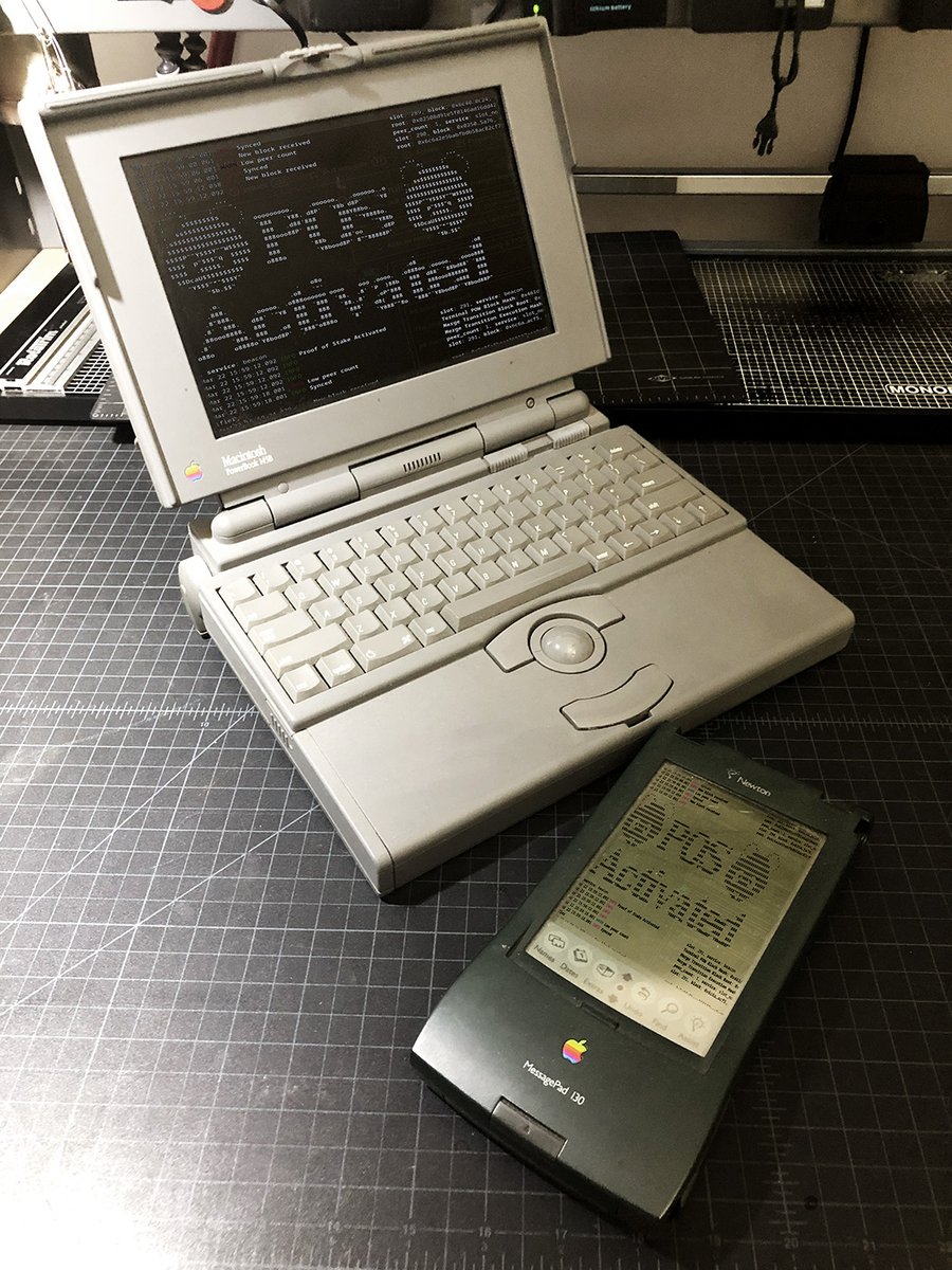 QuantumVariant tweet media