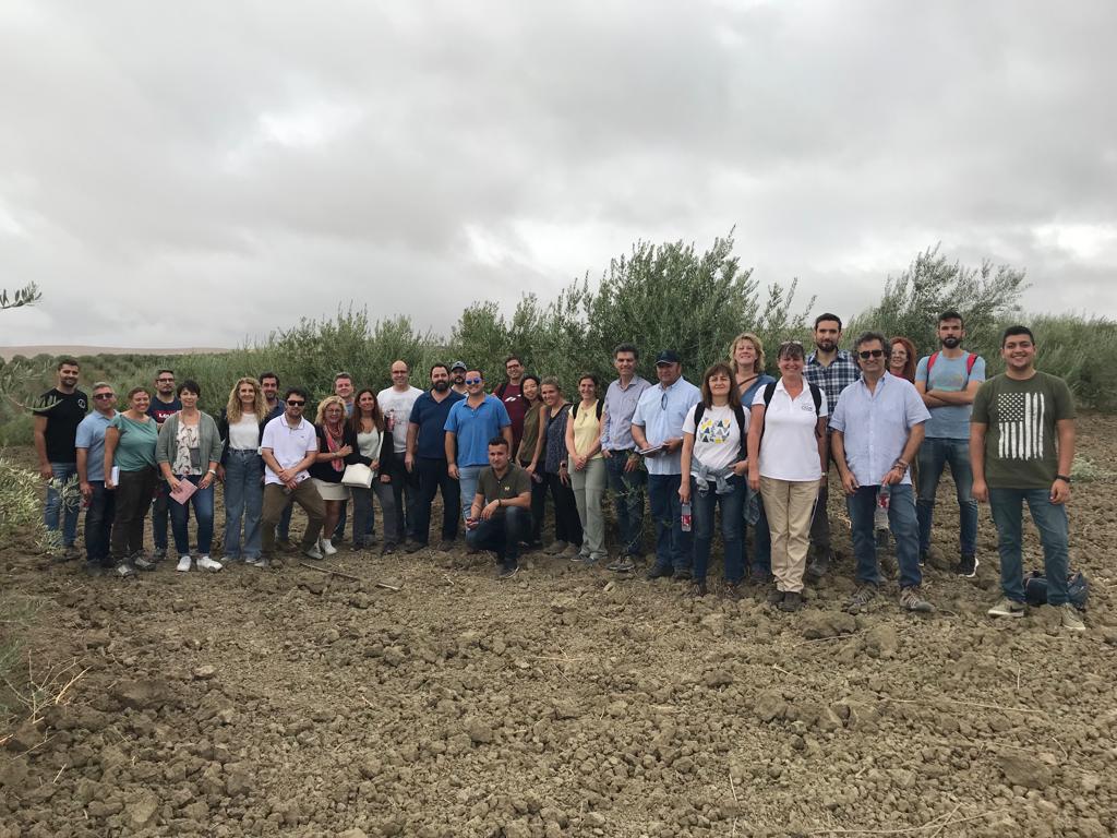 mejoradeolivo's tweet photo. Una nueva jornada del #CSEO, un curso eminentemente práctico donde hoy hemos visitado el programa de mejora de @todolivo y sus nuevas variedades. https://t.co/KTj50Z4UC0