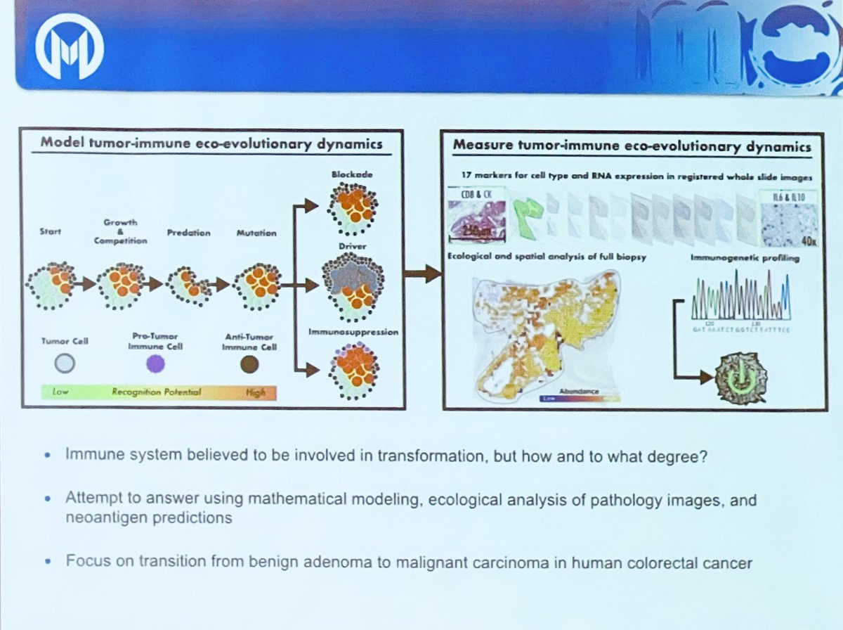 ara_anderson's tweet photo. Next up is our very own @cgatenbee discussing our recent @NatureComms paper, An immune bottleneck at the outset of colorectal cancer. #AndersonLab @mathonco 
More details here https://t.co/rYDv0O5ySu  #BCB22 https://t.co/dpn1IWZLu1