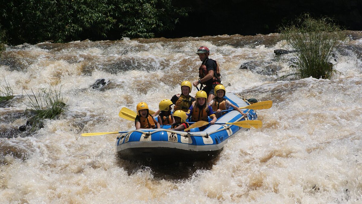 Tembea Kenya Pollmans tweet media