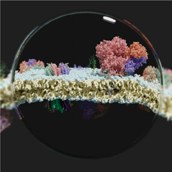 Chemical Reviews tweet media