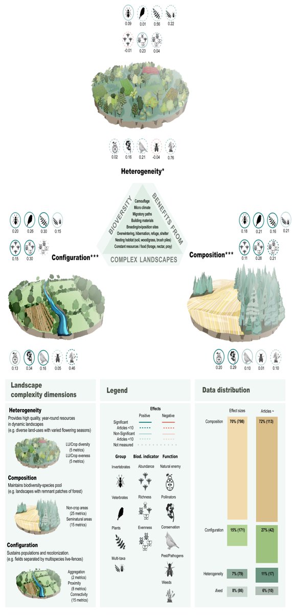 Increased complexity and heterogeneity in agricultural landscapes is associated with greater #biodiversity, according to a study. In PNAS: ow.ly/3Ymb50KIu6y