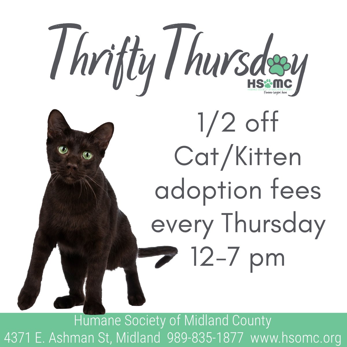 HSoMC's tweet photo. It's #thriftythursday and you know what that means! All Cat and Kitten adoption fees are 1/2 off! Stop in any time between 12-7 pm!
#adopt #sheltercats #kittens #cats #hsomc #foreverbeginshere https://t.co/zWN1KqiBDW