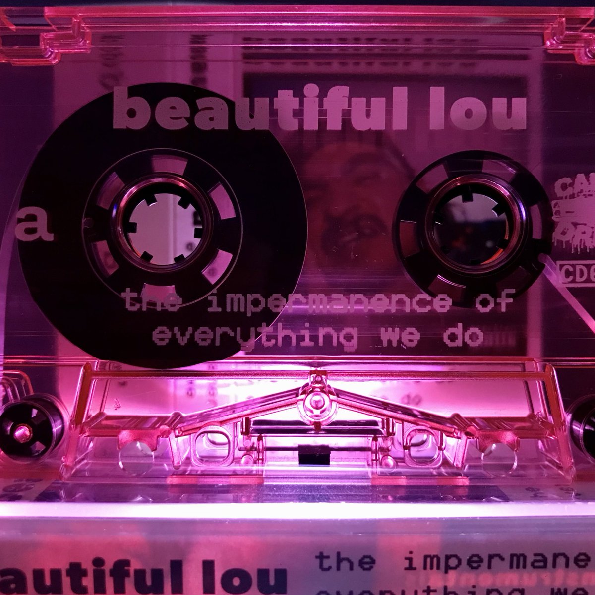 CandyDrips's tweet image. New tape day : starring @beautifullou1 

the impermanence of everything we do

W side b all instrumental versions of the album!

It’sa good day ! 

Go watch beautiful Lou’s new videos on YouTube - he drippin new content religiously 😈