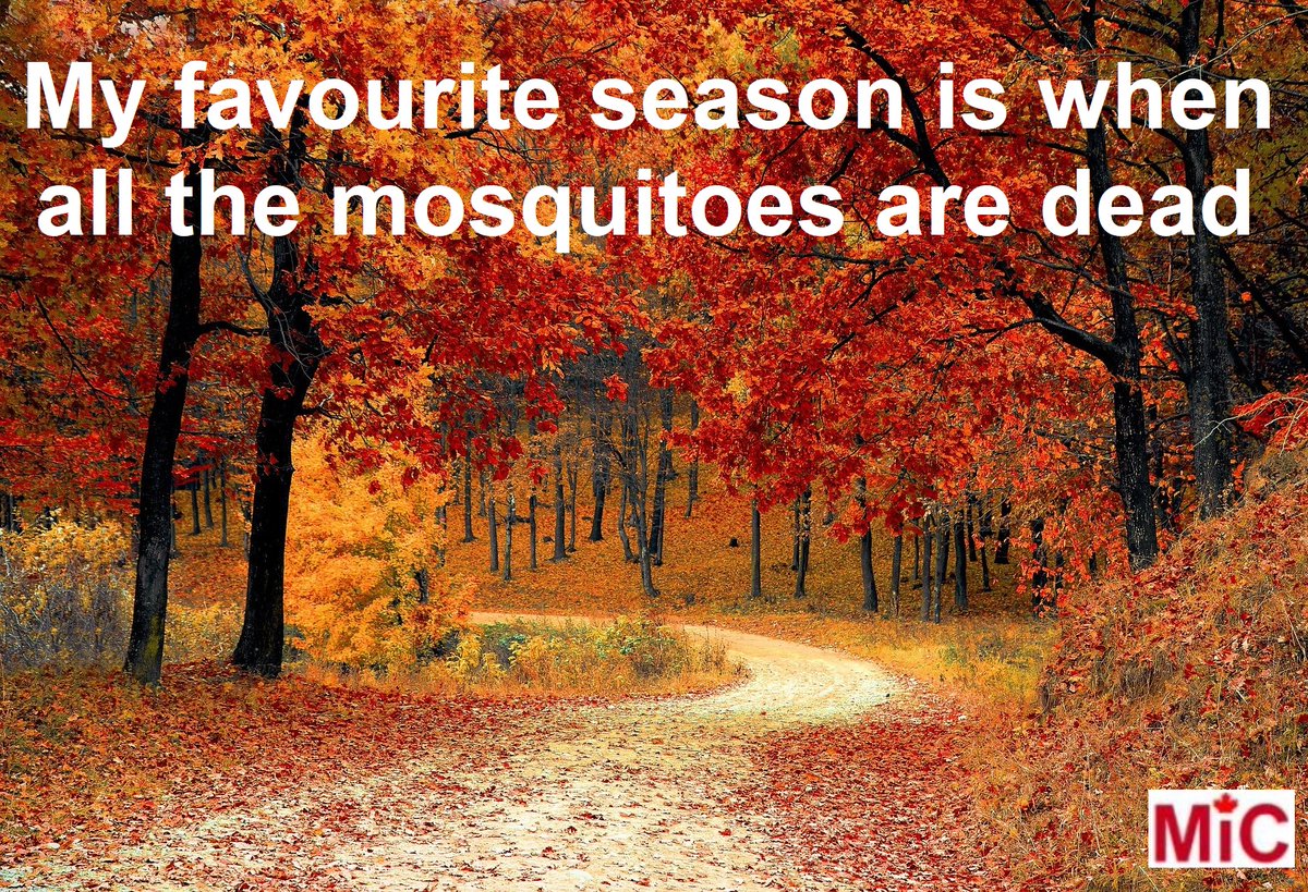 MeanwhileinCana's tweet photo. Ah yes!
#MeanwhileInCanada #Fall #Autumn #Canada #memes https://t.co/UGsXejaLL1
