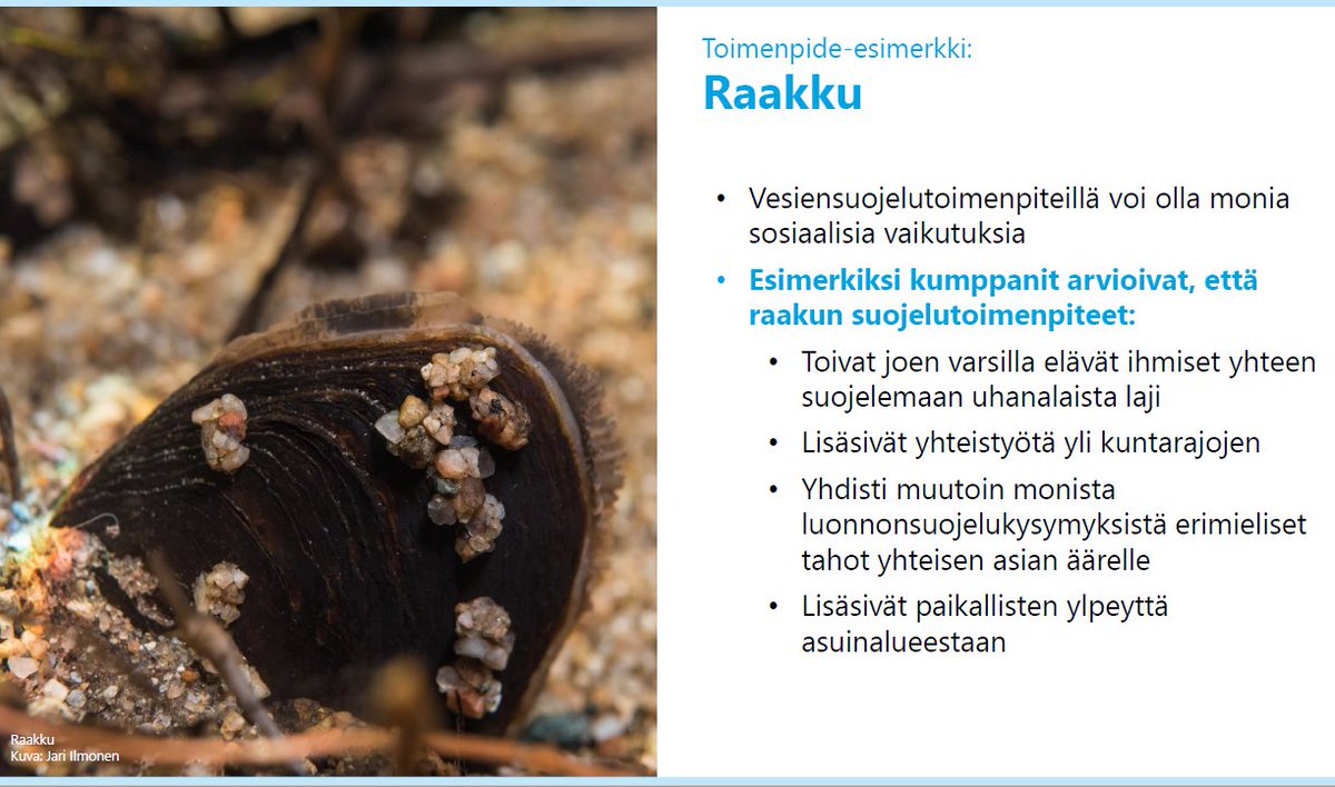 Mitä sosioekonomisia vaikutuksia Freshabitilla on ollut? Ainakin hyvinvointia, ympäristötietoisuutta ja työpaikkoja.
Esimerkiksi raakun elvyttäminen on lisännyt mm.  sosiaalisuutta, yhteistyötä ja ... ylpeyttä!
#Freshabit-loppuseminaarista poimittua
#sosioekonominen #vaikuttavuus