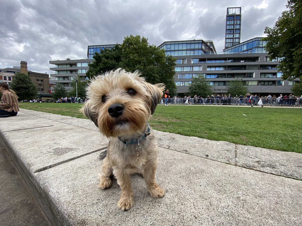 Sheela na gig economy tweet media