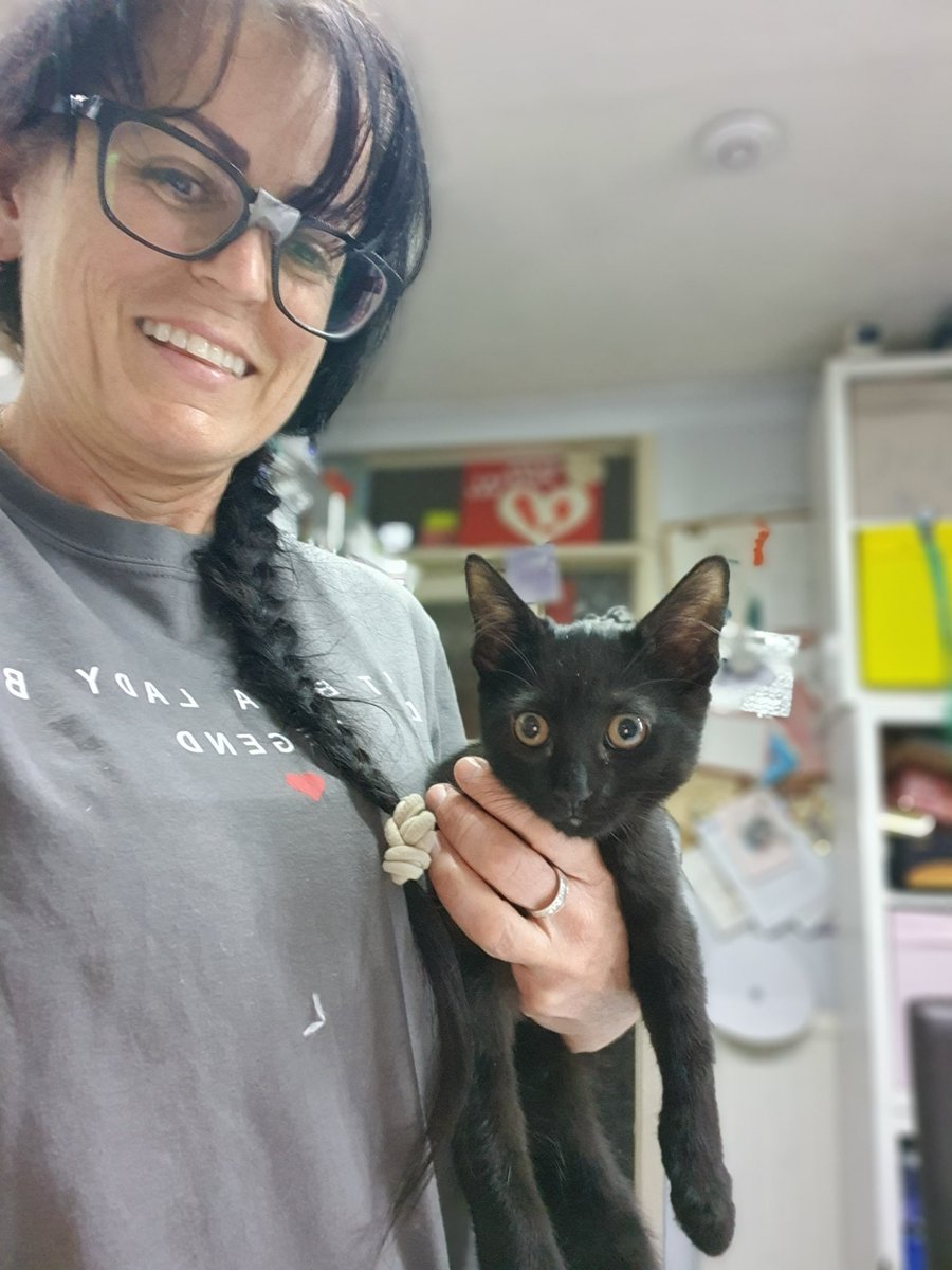 BenjaminaPCC's tweet photo. Excuse the taped up glasses ... new girl Gracie arrived yesterday and STOLE MY HEART!! 🐈‍⬛️ https://t.co/j4JDVvJYBD