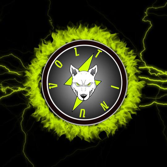 Volt Inu ⚡️ tweet media