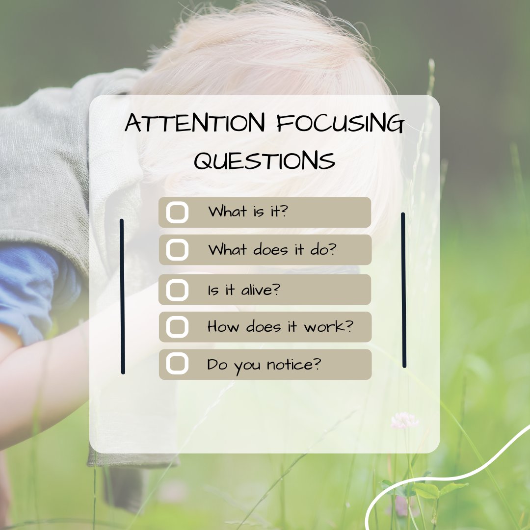 STEMExplorersHQ's tweet photo. Attention focusing questions...

Encouraging observation is the first step in exploring the world around us, once you've done that the investigations can start!

Support your children to explore, being curious and using their senses will lead to self initiated questions...

#EYFS https://t.co/wnpuHiL5RR