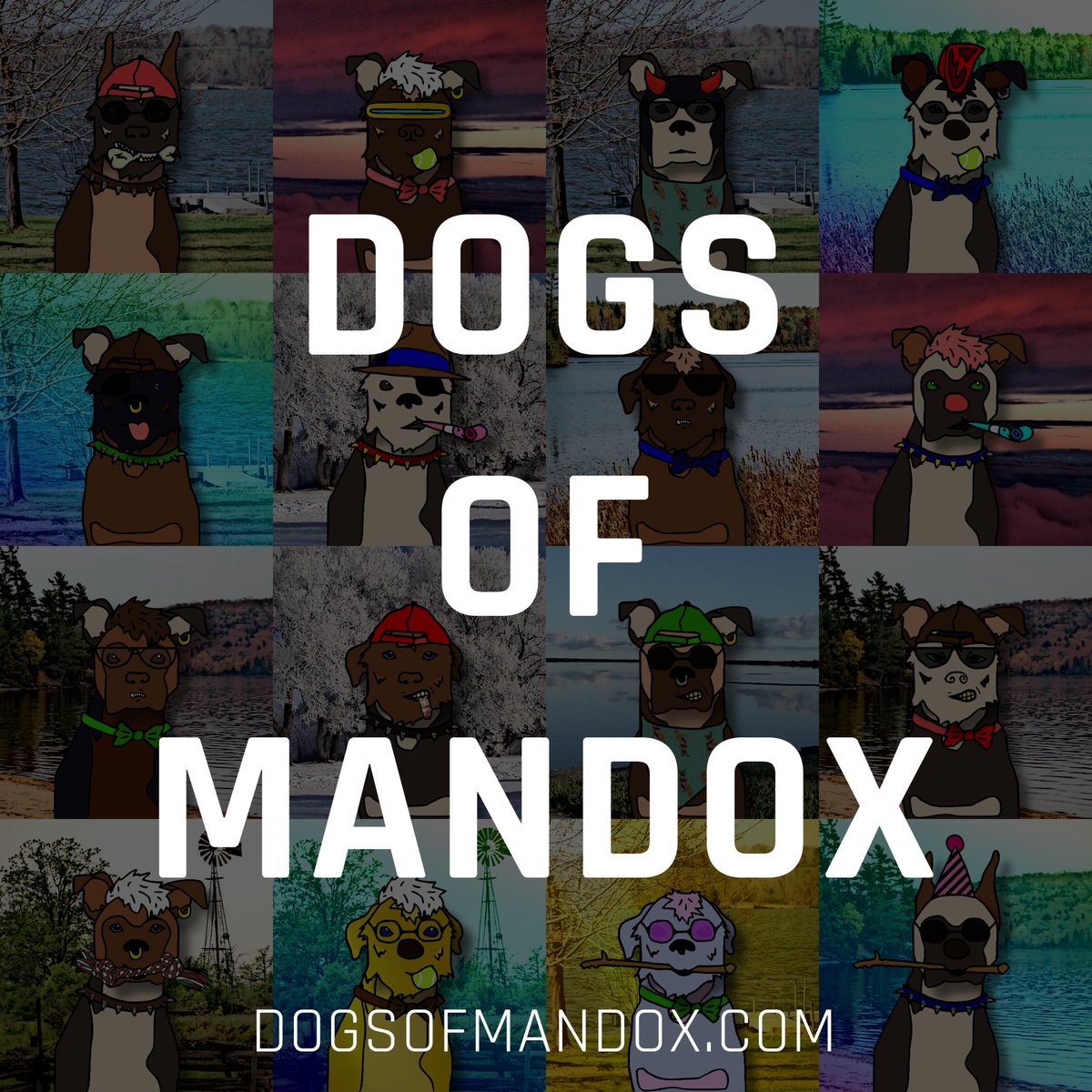 parmkjassal's tweet photo. #Packdawgz NOW MINTING @TheDogsOfMandox #DogsOfMandox
https://t.co/U8ooU8OheR
Great cause, the team doing thier part to give back to animals in need.
https://t.co/IM6H08ZJEe https://t.co/PQlkr22Qny