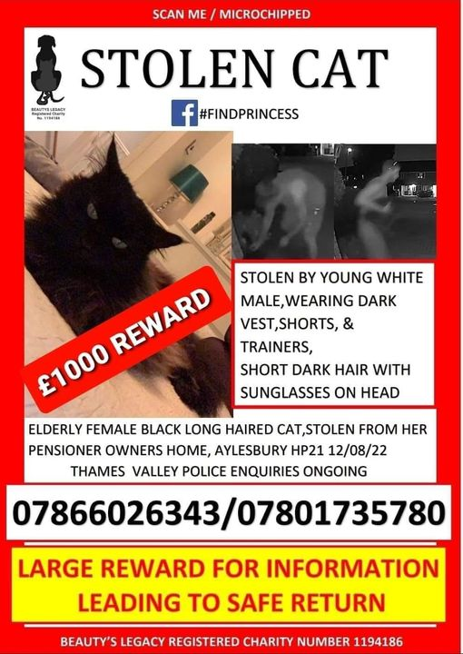 Larawadey's tweet photo. Following countless messages... Please rest assured our silence does not mean we are doing nothing; quite the opposite. Ann and Maurice thank everyone for their help and support. #findprincess ๐โโฌโค https://t.co/uTJmRfYSTQ