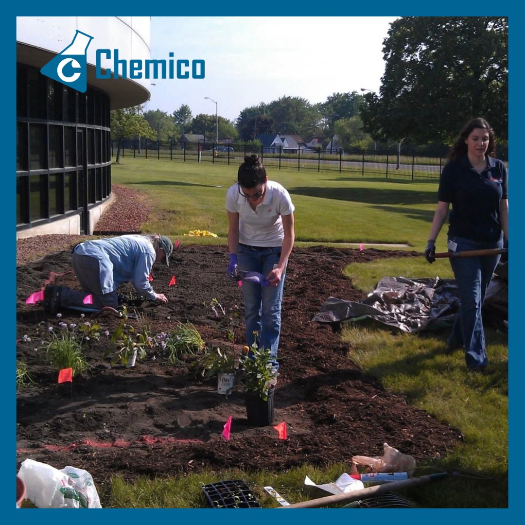 Today is #GreenPeaceDay, a day that recognizes and highlights #environmental movements, activism and awareness. At Chemico, protecting the environment is important to us. We’re passionate about manufacturing products that are safe for people and not harmful to our environment.