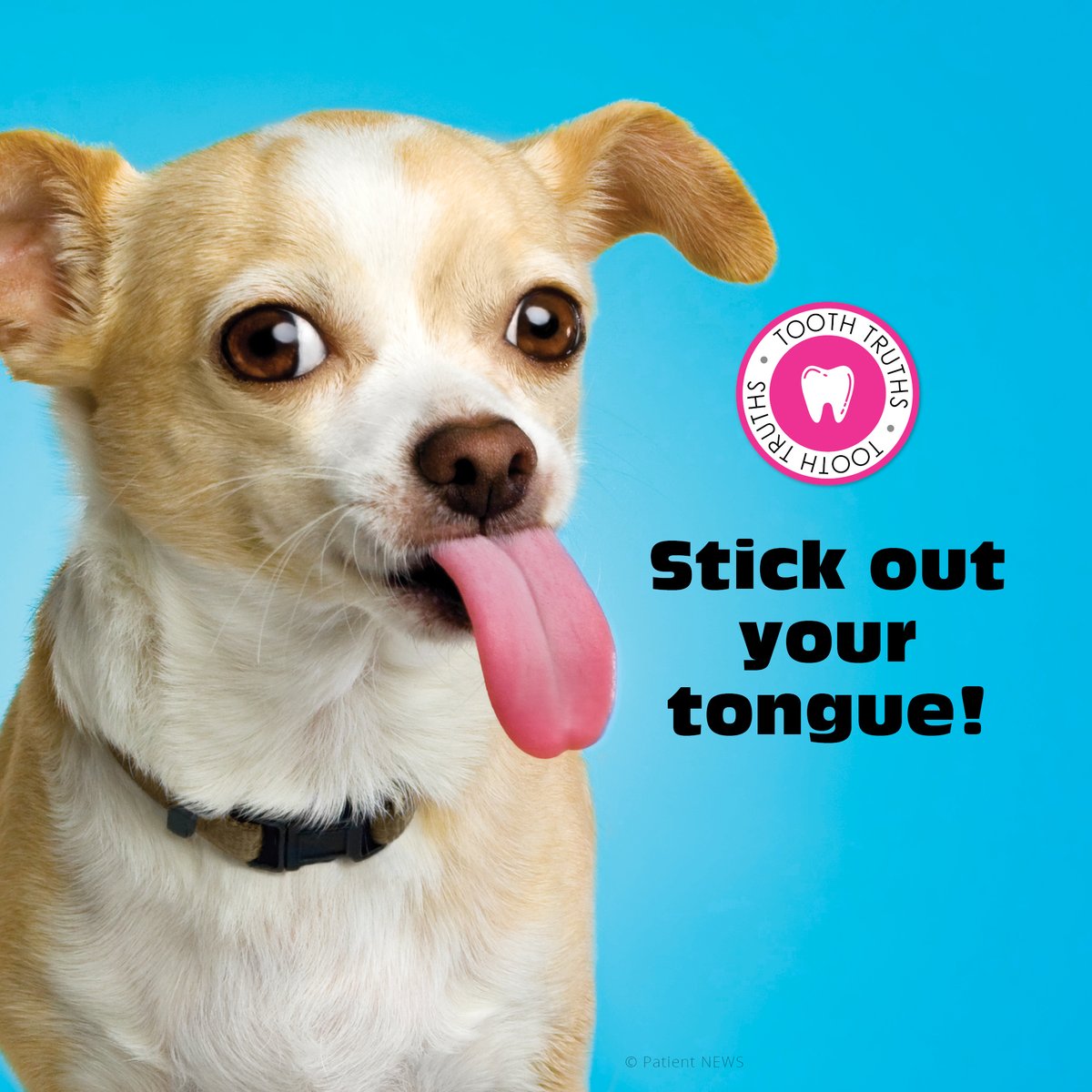 AndBayview's tweet photo. Using a tongue scraper every day will remove bacteria, help eliminate bad breath, and enhance your sense of taste! #ToothTruths #StickOutYourTongue #BayviewDental #QualicumBeachDentist #familydentistinQualicumBeach https://t.co/601ycCKFn8