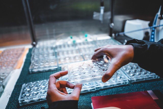 Julie Meilland tweet media