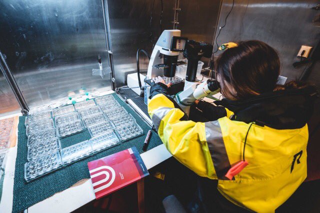 Julie Meilland tweet media