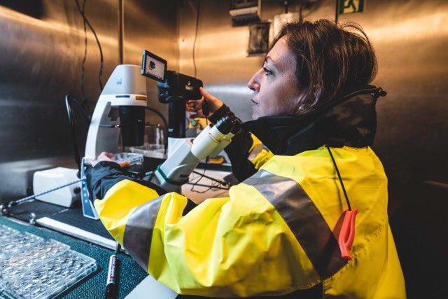 Julie Meilland tweet media