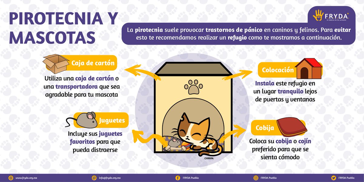 FRYDApuebla's tweet photo. Amigos de #FRYDA 💛💜 los invitamos a no usar pirotecnia en este día!! Las personas mayores, niños autistas, personas con gran sensibilidad y nuestras mascotas sufren mucho 🥺🥺 les dejamos una idea para realizar un refugio. Seamos amables no todos la pasamos bien!! 🥺 https://t.co/Y3iqAoT4Z6
