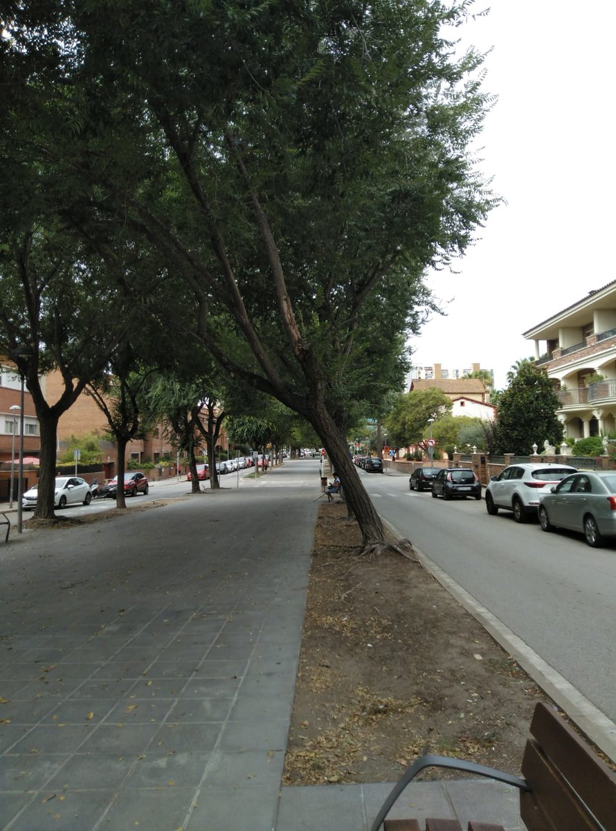 pscvilassarmar's tweet photo. Imatges que fan por. 😨
L'estat de #fanals i d'#arbres del municipi mostren una falta important de #manteniment. https://t.co/axDVUIX1ne