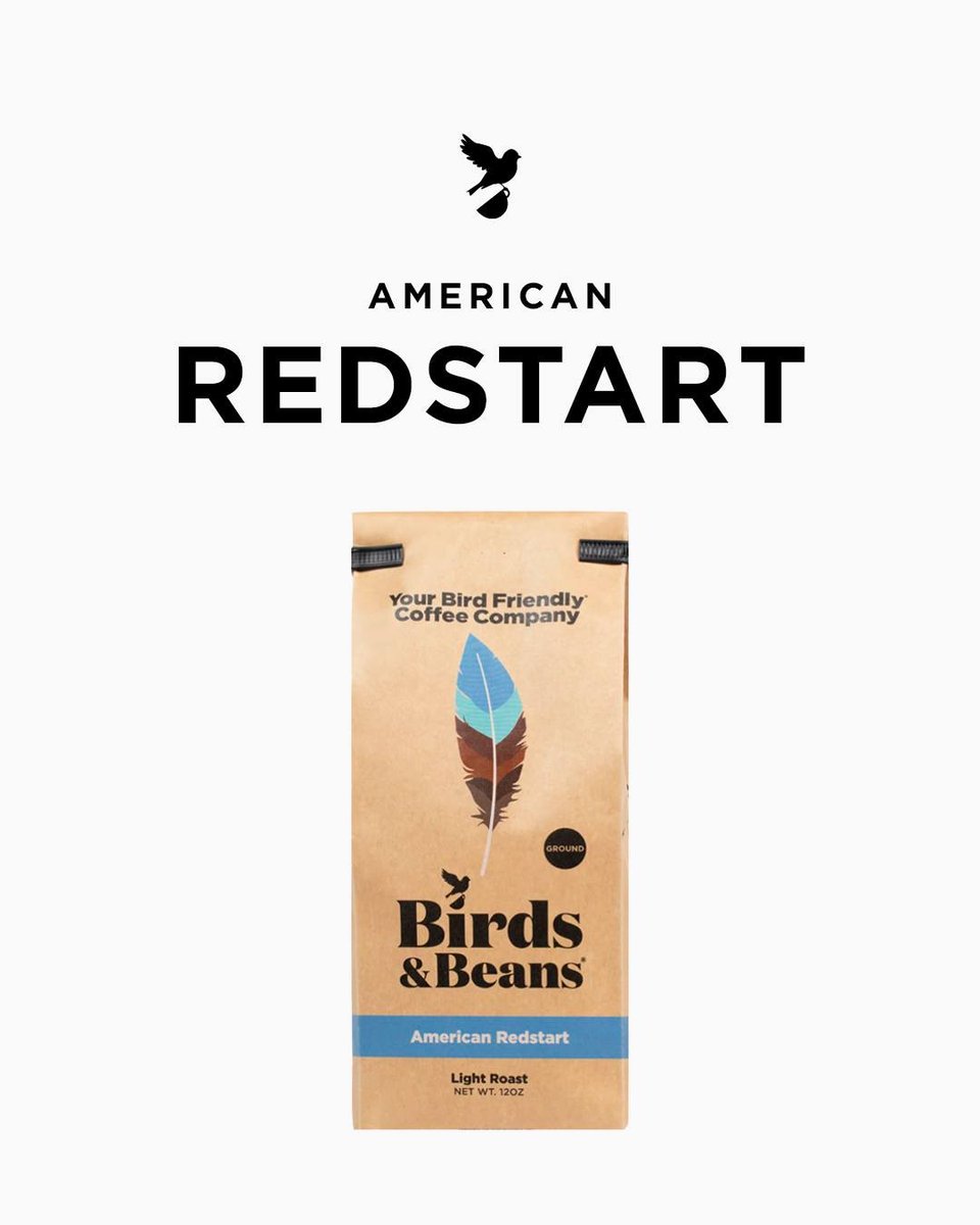BirdsBeans's tweet photo. Beat the afternoon slump with a comforting cup of hot coffee. We recommend our American Redstart with its mellow acidity and notes of red apples. 

#organicliving #organicproduct #coffee #coffeeculture #coffeegram #thebirdingsquad #ecofriendly #ecofriendlyliving #birdfreaks #plan https://t.co/YPy06zxZch