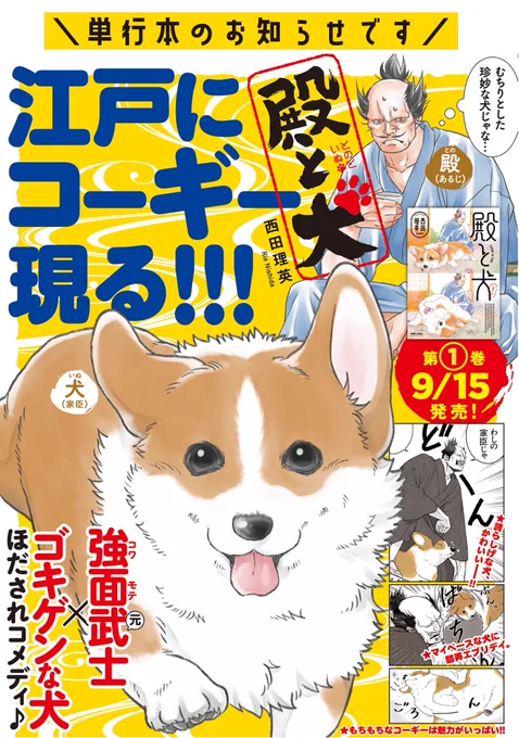 没落武士と気ままな犬との長屋暮らし漫画「殿と犬」。
のんびり読める1巻発売中です。よろしくお願いします🐶

🐾本編 https://t.co/XGFxdHKhNt

🐾  https://t.co/U4YjdcV8Pg 