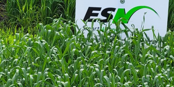 RealAgriculture (@realagriculture) on Twitter photo Based on this review, AAFC says the use of polymer-coated ureas (PCUs) is now eligible for OFCAF funding as of September 12, 2022.
ow.ly/NGZw50KJnzX
#cdnag Based on this review, AAFC says the use of polymer-coated ureas (PCUs) is now eligible for OFCAF funding as of September 12, 2022.
ow.ly/NGZw50KJnzX
#cdnag