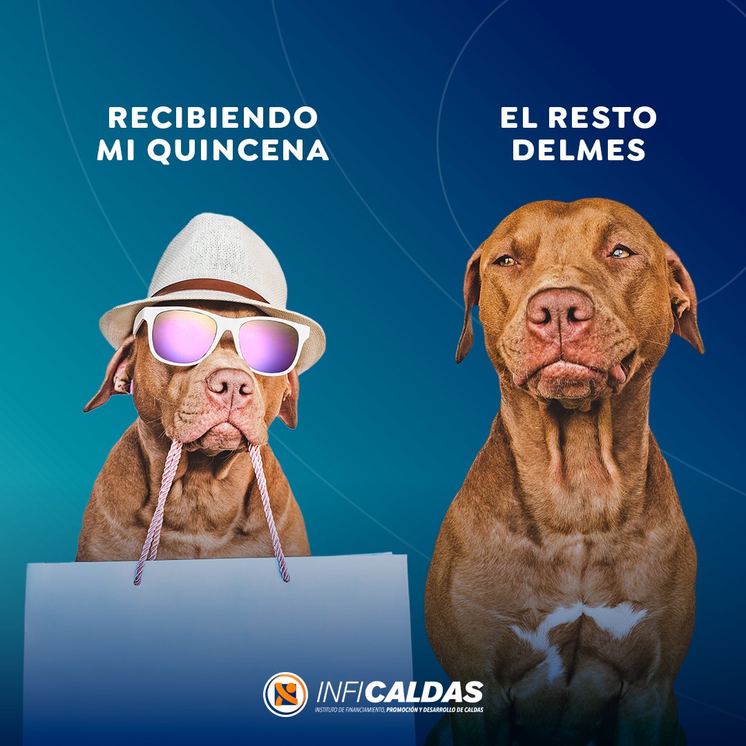 INFICALDAS's tweet photo. ¡Que no te coja el fin de mes sin plata! ❌
Comienza a aplicar todos los #InfiTips💡💰 financieros que te compartimos a través de nuestras redes sociales y organiza mejor tus finanzas. Que tu educación financiera sea lo primero.✅ https://t.co/Y1S940Nsep