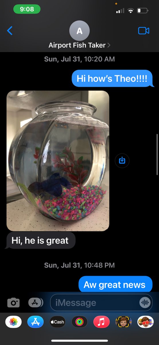 SouthwestAir's tweet photo. Kira (the Customer with the fish) kept in touch with Ismael (our Employee, aka “Airport Fish Taker”) all throughout the summer after her freshman year in college as Ismael and his fiancé Jamee (a fellow Southwest Employee) took care of Theo (the Beta Fish). https://t.co/HjndxnQFWv