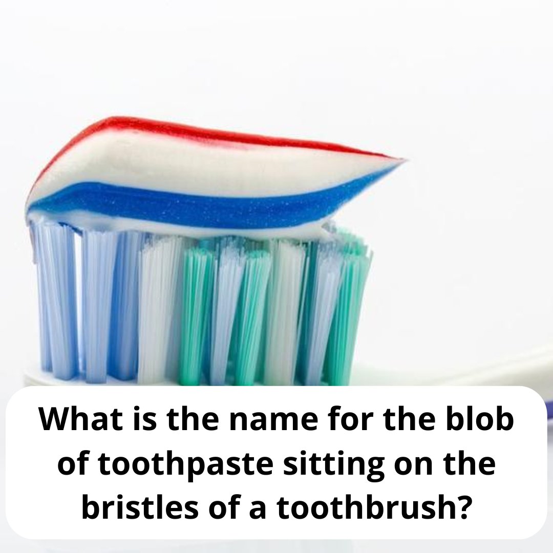 Headtiltfun's tweet photo. Category: What's That Thing Called? Cornicione, Muntin, Nurdle, or Peen?
#headtiltfun #headtilttrivia #doyouknow #quiztime #dailytrivia #todaysquiz #todaystrivia #thursdaytrivia #triviathursdays #toothpaste #toothbrush #healthyteeth #oralhygiene #cornicione #muntin #nurdle #peen https://t.co/dYgcvkwWlU