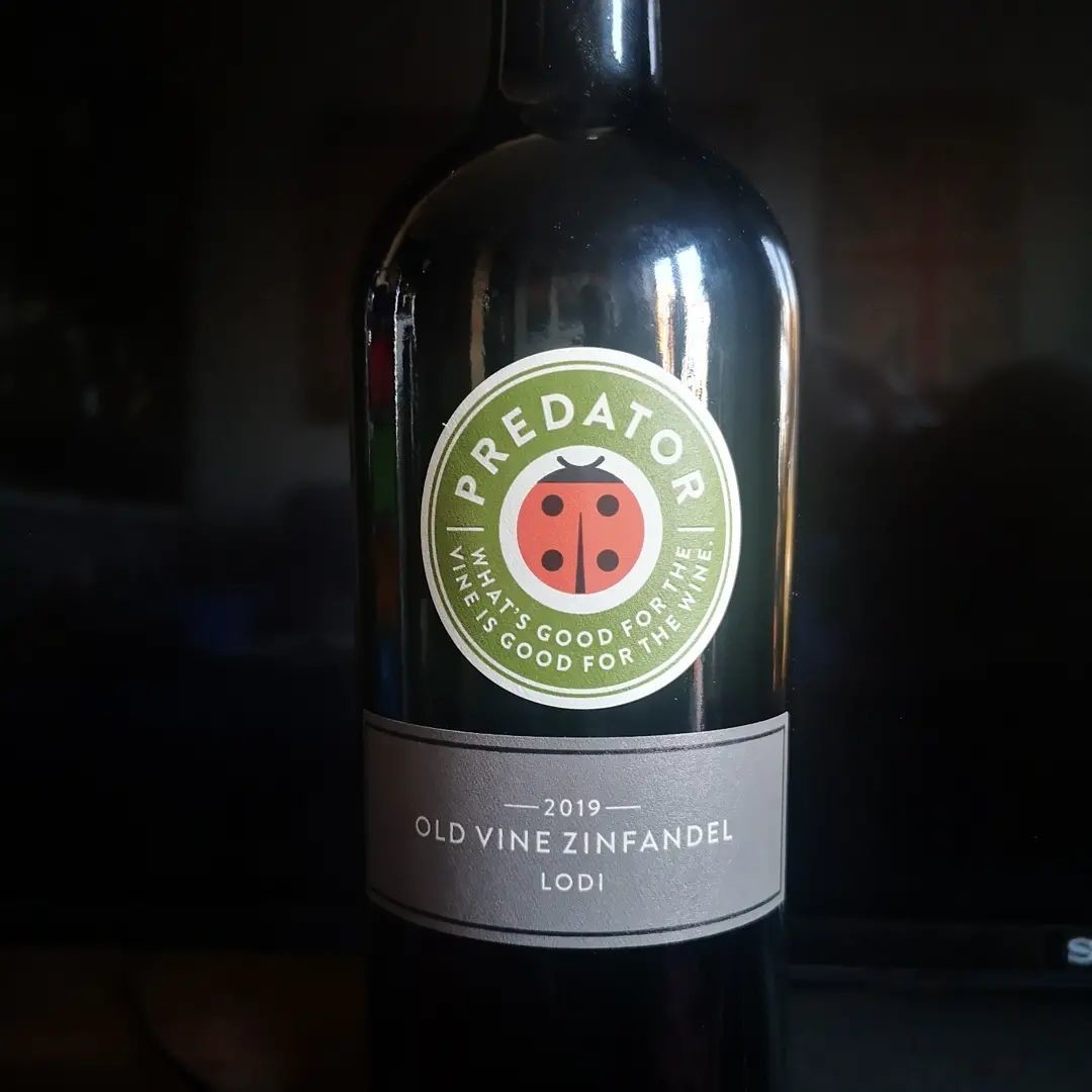 PredatorWines's tweet photo. Wines crafted for rich and deep fruit flavors along with distinctive oak character.

📷 @mylnari https://t.co/YvA70BeFVp