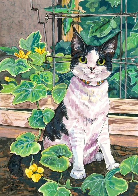 Happy to report that my workload is finally in a place where I have a few slots of each kind of pet portrait I do are available on my site!! :) 