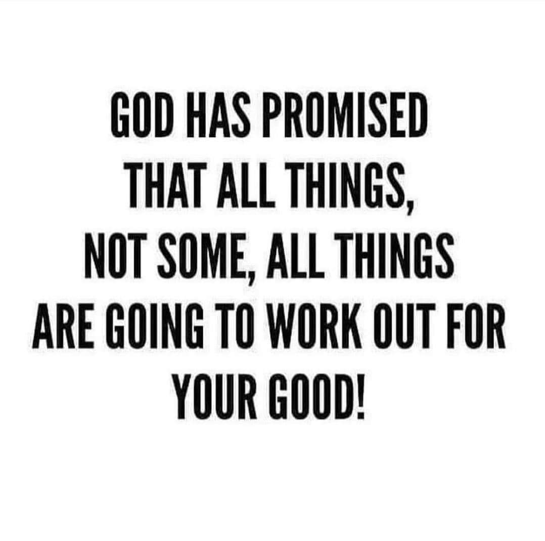 AshleyCrawford tweet media