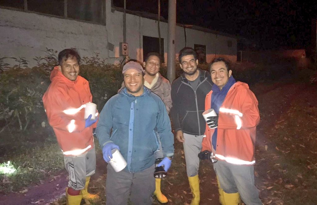ABG_galapagos's tweet photo. Somos un equipo multifuncional al servicio de la comunidad y la biodiversidad de #Galápagos. Agentes de Bioseguridad de #ABG, que realizan proceso de inspección en el Muelle Gus Angermeyer de la la isla #SantaCruz, realizaron recolección de la plaga Caracol Gigante Africano. https://t.co/LijTNbSJTI