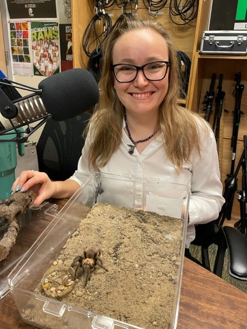 ColoradoStateU's tweet photo. One of Colorado's strangest tourist attractions peaks in mid-September:🕷

@CSUAgSci's Maia Holmes discusses this annual mating trek where thousands of tarantulas come out of their southeastern CO hiding places to 👀 for ❤️ on our podcast, "The Audit" 🎙 https://t.co/arouTho4af https://t.co/KaQfDVOc45
