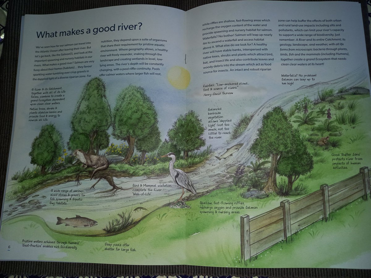 MaryPawleWines's tweet photo. Another great publication from #Streamscapes #MarkBoyden. Lovely to catch up with him @emporiummanning today. https://t.co/vUNAzpp6du