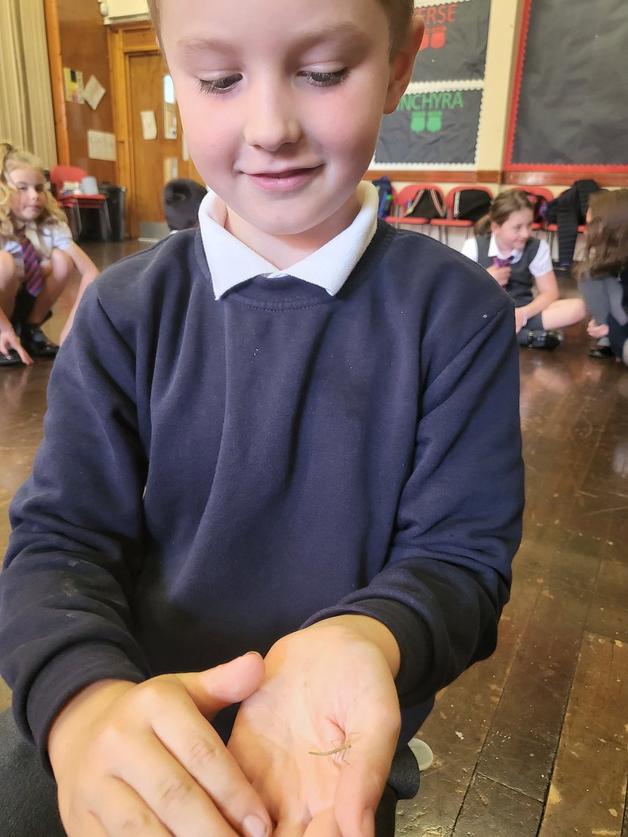 Miss Walker tweet media