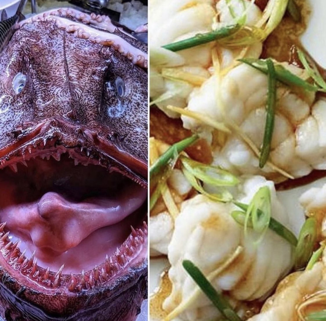 💥MONKFISH IN THE CASES💥

One of the ugliest fish in the sea is also one of the tastiest!  Monkfish has a mild taste and texture so similar to lobster that they’re sometimes called “the poor man's lobster.”  So drop by, say hi, and give your tastebuds a treat!