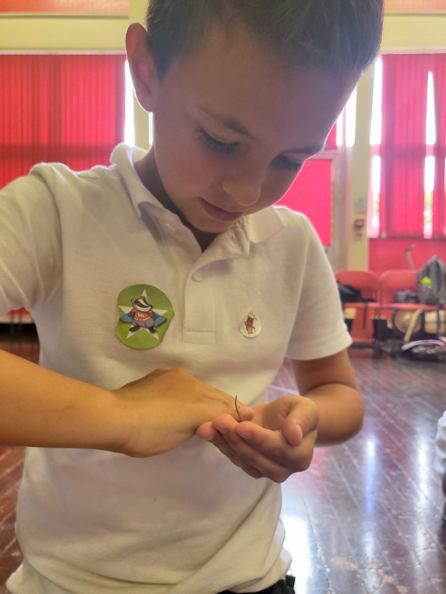 Miss Walker tweet media