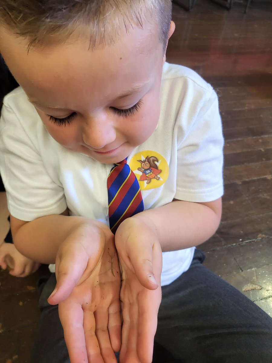 Miss Walker tweet media