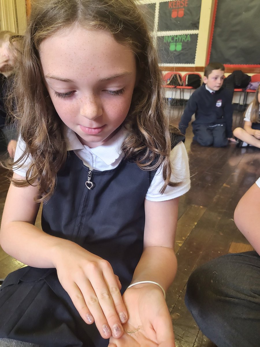 Miss Walker tweet media