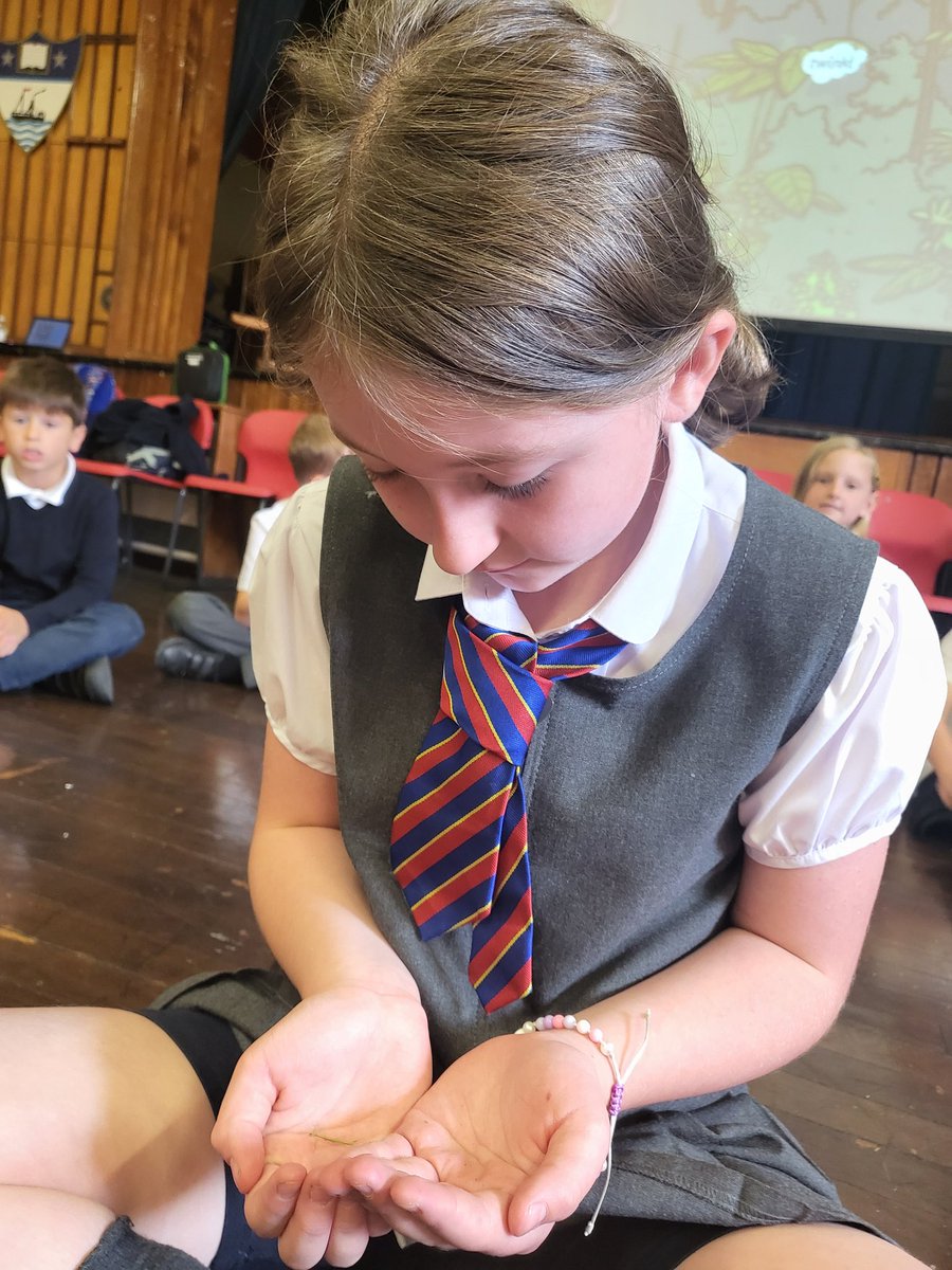 Miss Walker tweet media