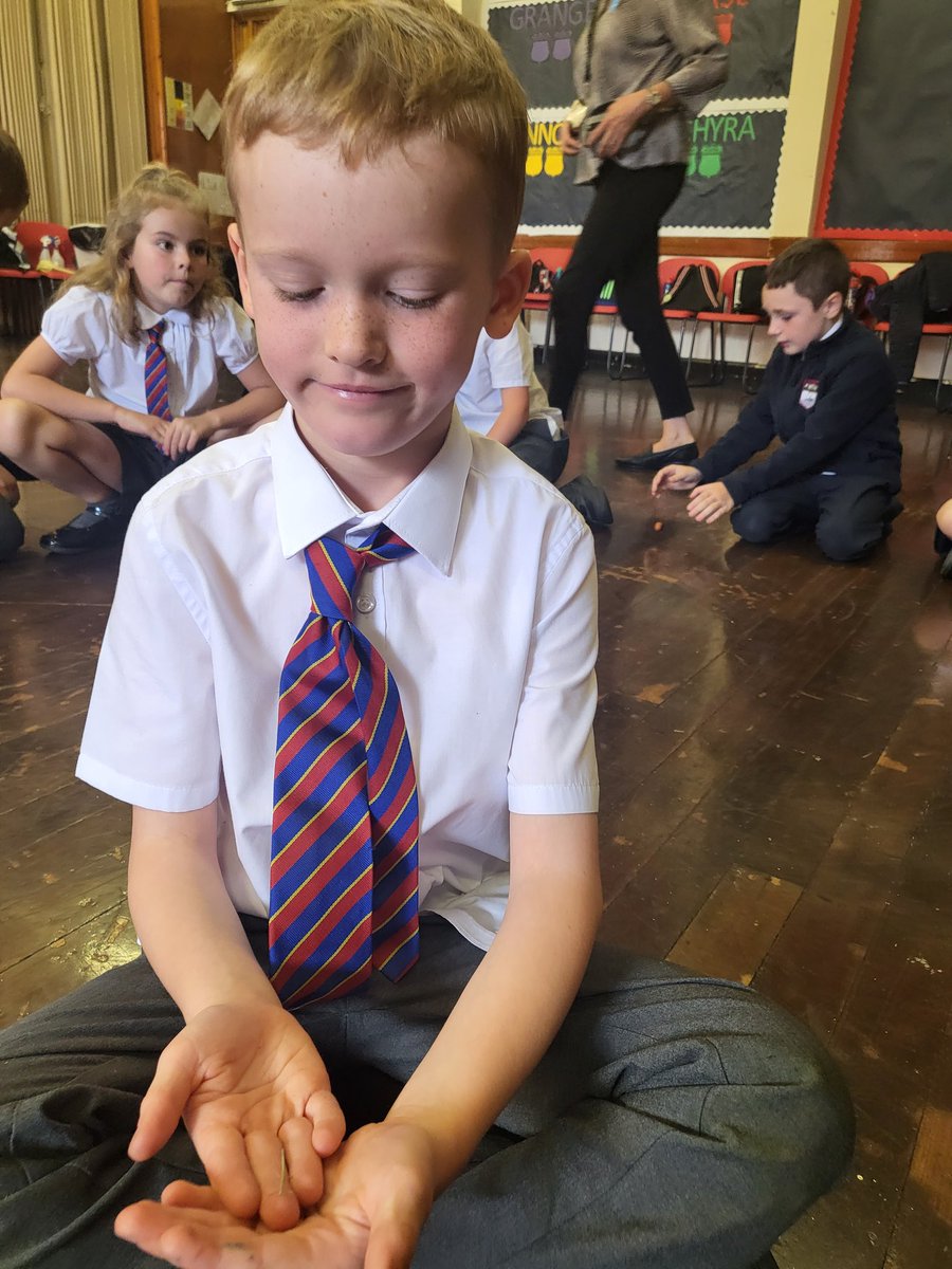 Miss Walker tweet media