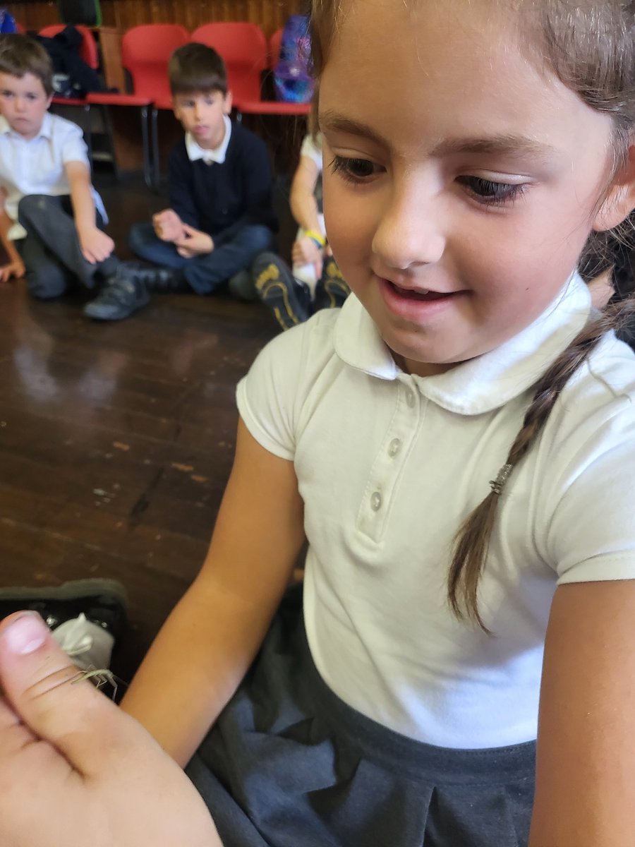 Miss Walker tweet media